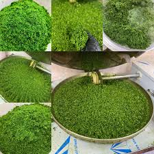 قیمت سبزی سرخ شده